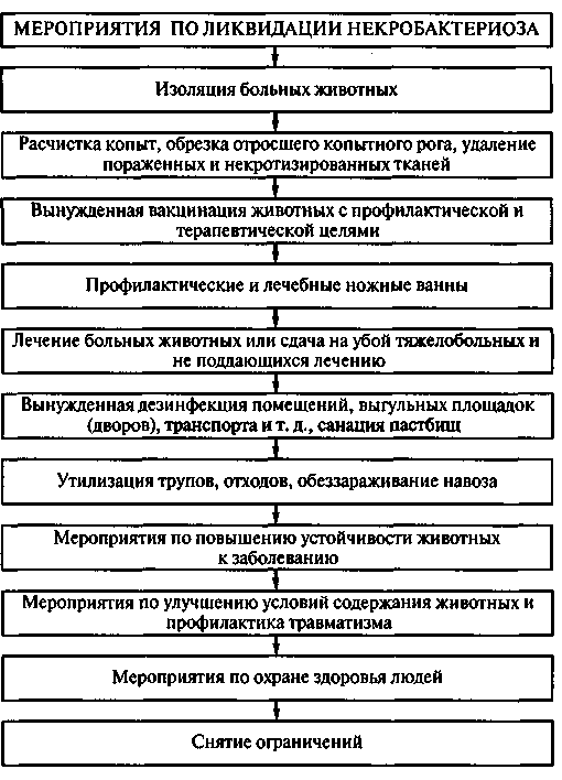 Что такое болезнь гусиные лапки