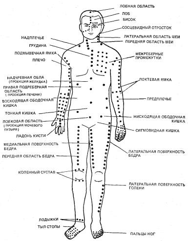 Болевые Точки На Теле Человека
