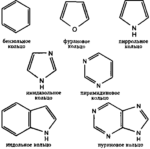 Генетический код. От теории эволюции до расшифровки ДНК