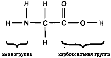 Генетический код. От теории эволюции до расшифровки ДНК