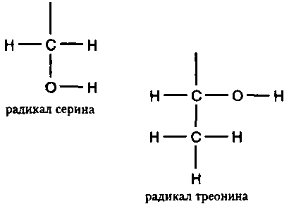 Генетический код. От теории эволюции до расшифровки ДНК