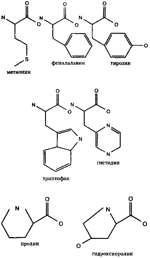 Генетический код. От теории эволюции до расшифровки ДНК
