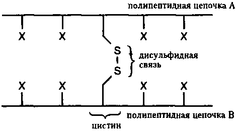 Генетический код. От теории эволюции до расшифровки ДНК