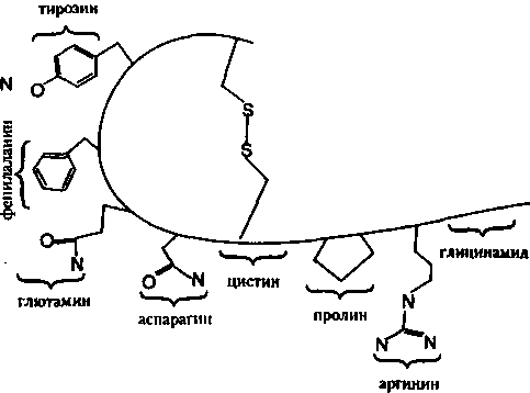 Генетический код. От теории эволюции до расшифровки ДНК