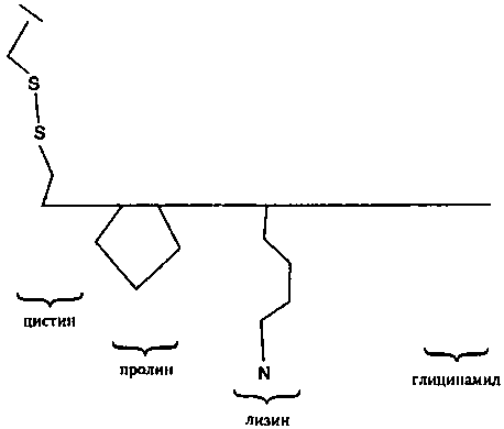Генетический код. От теории эволюции до расшифровки ДНК