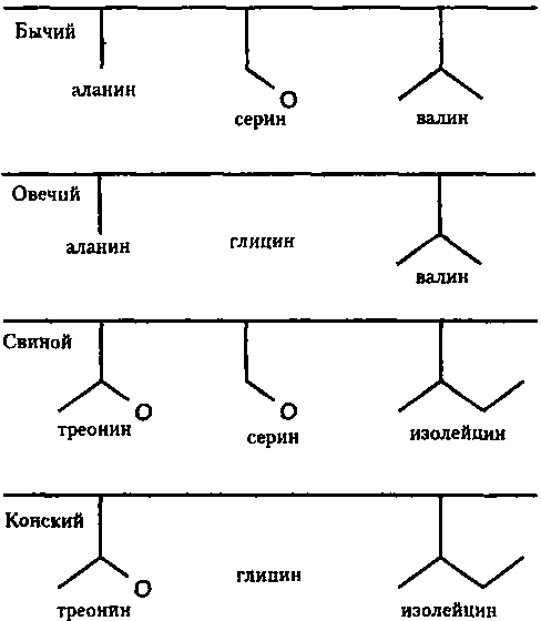 Генетический код. От теории эволюции до расшифровки ДНК