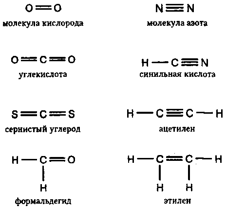 Генетический код. От теории эволюции до расшифровки ДНК