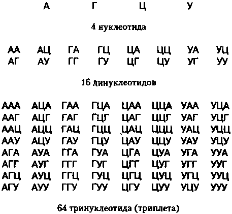 Генетический код. От теории эволюции до расшифровки ДНК