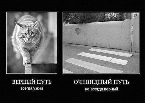 Сила рода – тайна женщины. Сакральные знания для счастливой судьбы