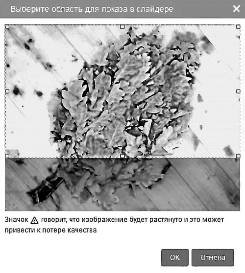 Бизнес для ржавых чайников. Достойная жизнь на пенсии