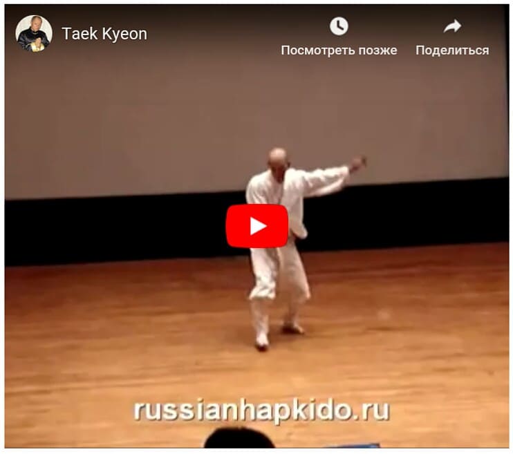 ШОУ-ДАО. Экскурс в историю, теорию и практику