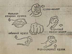 ШОУ-ДАО. Экскурс в историю, теорию и практику