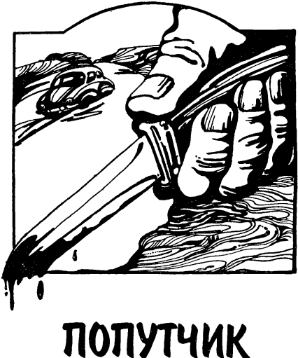 Попутчик