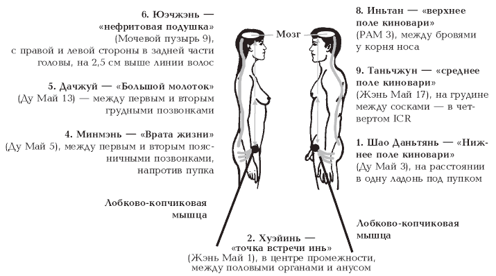 такой пост Уже порно фото узи вагинальное с искусственным членом ответ