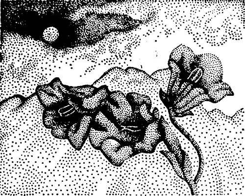 Милые роботы (сборник)