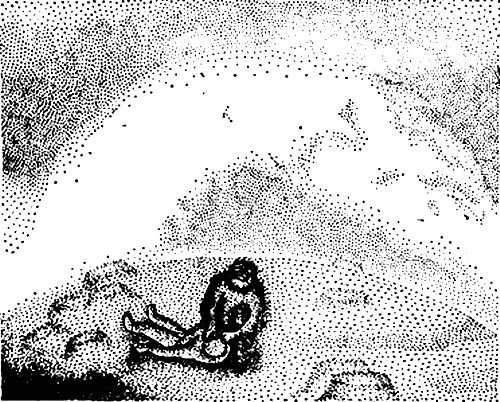 Милые роботы (сборник)