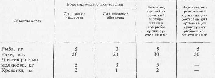 Ловись, рыбка...