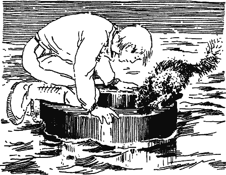 Норби и захватчики