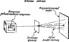 Краткая история химии. Развитие идей и представлений в химии.