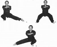 Тайцзицюань. Искусство гармонии и метод продления жизни