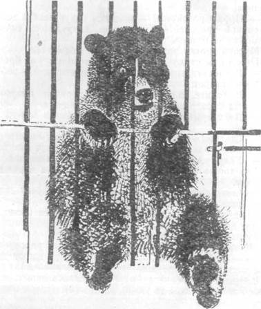 Повести и рассказы