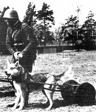 Польская армия 1939–1945