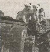 1943. Дивизия СС «Рейх» на Восточном фронте