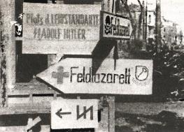 1943. Дивизия СС «Рейх» на Восточном фронте