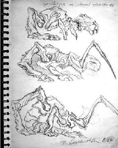 Fragment