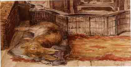Beatrix Potter Artist, Storyteller and Countrywoman