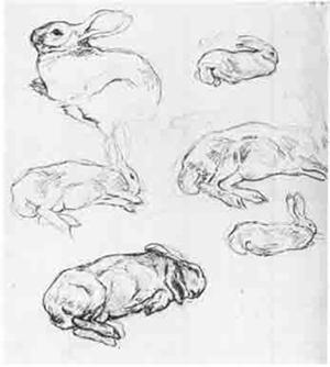 Beatrix Potter Artist, Storyteller and Countrywoman
