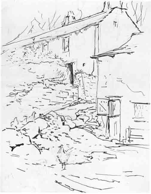 Beatrix Potter Artist, Storyteller and Countrywoman
