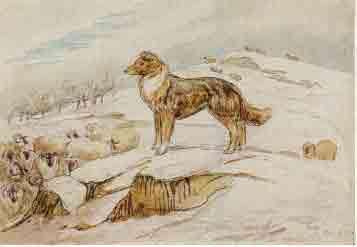 Beatrix Potter Artist, Storyteller and Countrywoman
