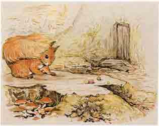 Beatrix Potter Artist, Storyteller and Countrywoman
