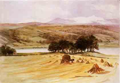 Beatrix Potter Artist, Storyteller and Countrywoman