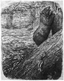 Beatrix Potter Artist, Storyteller and Countrywoman