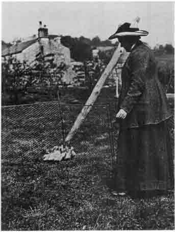 Beatrix Potter Artist, Storyteller and Countrywoman