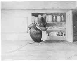 Beatrix Potter Artist, Storyteller and Countrywoman