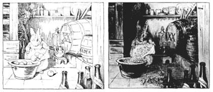 Beatrix Potter Artist, Storyteller and Countrywoman