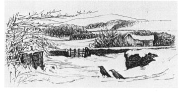 Beatrix Potter Artist, Storyteller and Countrywoman