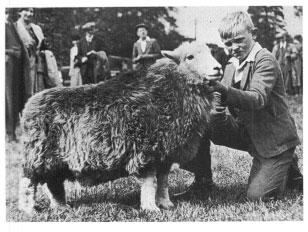 Beatrix Potter Artist, Storyteller and Countrywoman