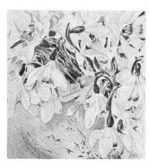 Beatrix Potter Artist, Storyteller and Countrywoman