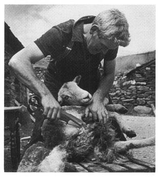 Beatrix Potter Artist, Storyteller and Countrywoman