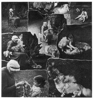 Beatrix Potter Artist, Storyteller and Countrywoman