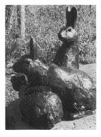Beatrix Potter Artist, Storyteller and Countrywoman