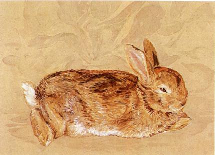 Beatrix Potter Artist, Storyteller and Countrywoman