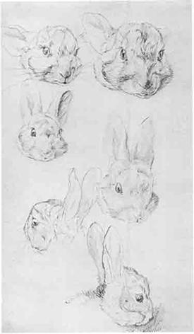 Beatrix Potter Artist, Storyteller and Countrywoman