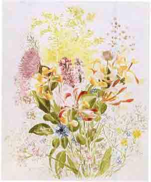 Beatrix Potter Artist, Storyteller and Countrywoman