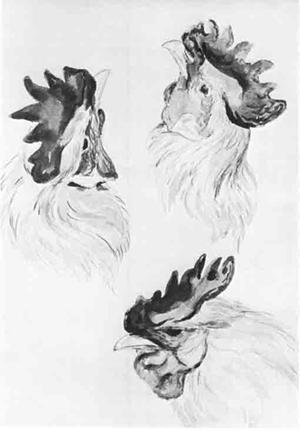 Beatrix Potter Artist, Storyteller and Countrywoman