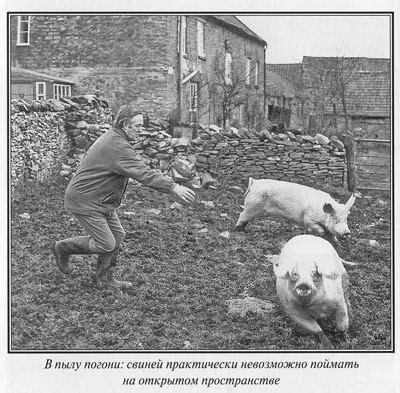 Джеймс Хэрриот. Биография